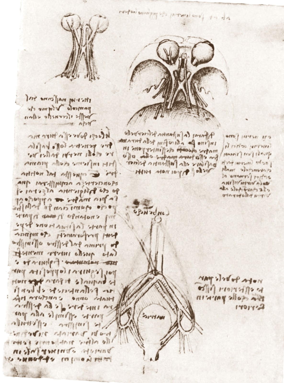 Leonardo+da+Vinci-1452-1519 (764).jpg